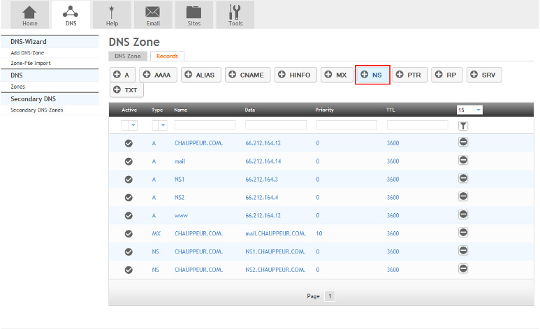 DNS NS highlight.png