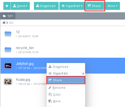 Storig share a file.png