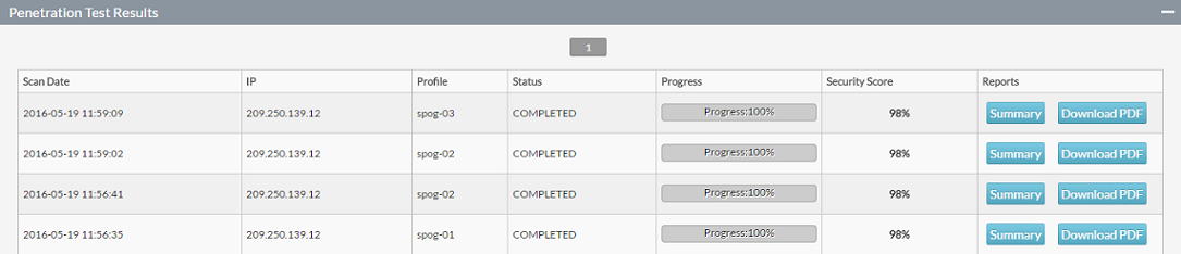 PenTest Penetration test results 1.png