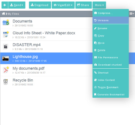 File:More - Versions.png